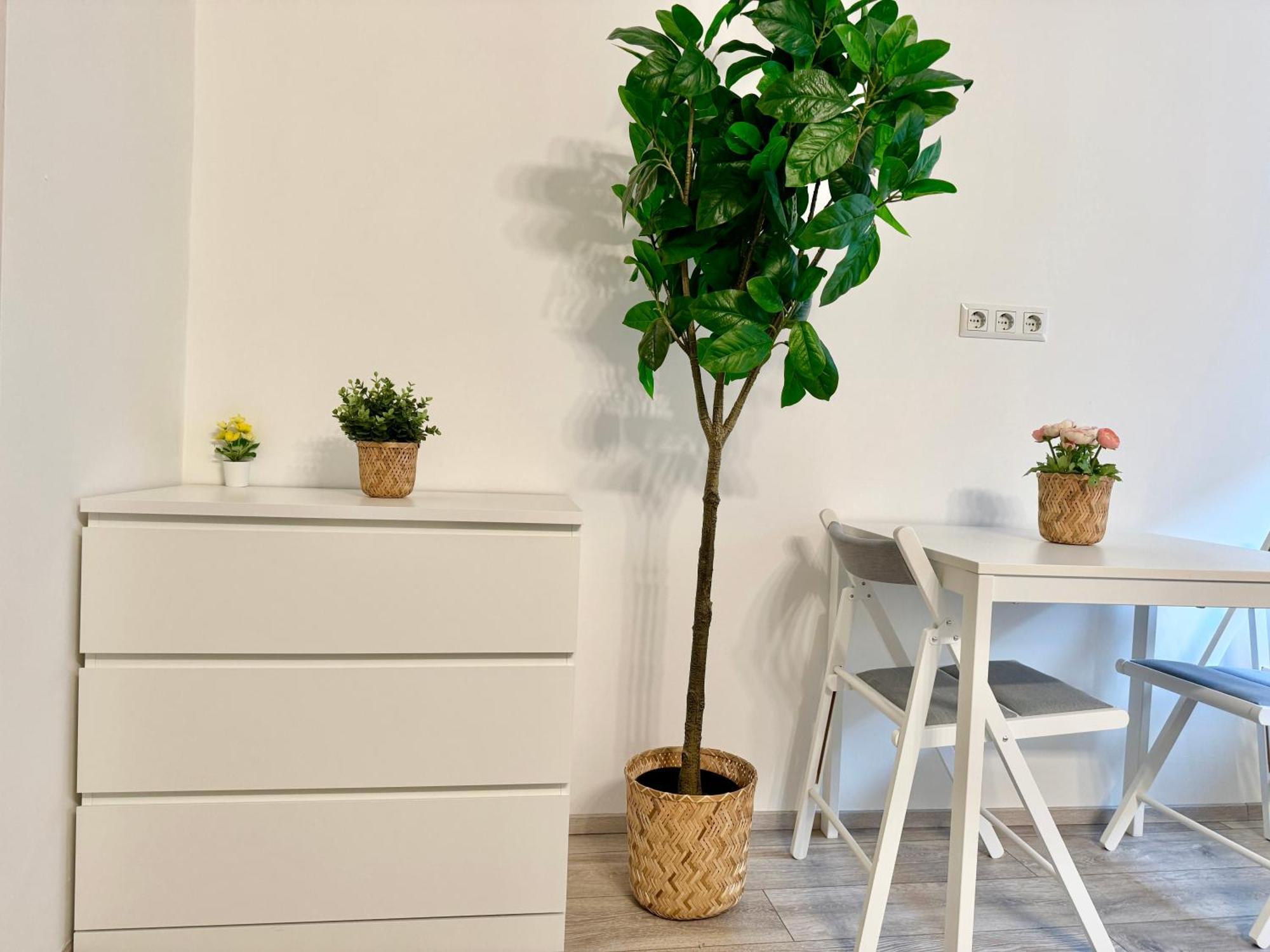 Stylish Schonbrunn Apartments With Free Parking Wien Eksteriør billede